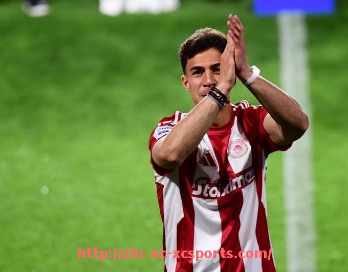 杏彩体育-世俱杯主裁判执法分布数据分析及裁判公平性探讨