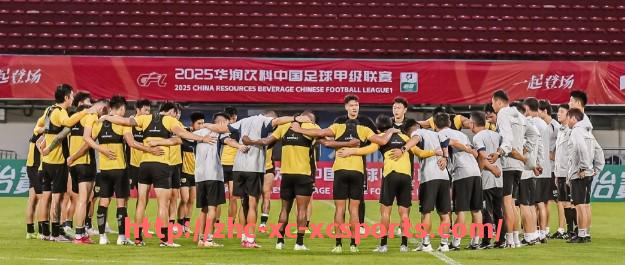 杏彩体育-《2023德甲上赛季成功升级的球队及表现盘点》