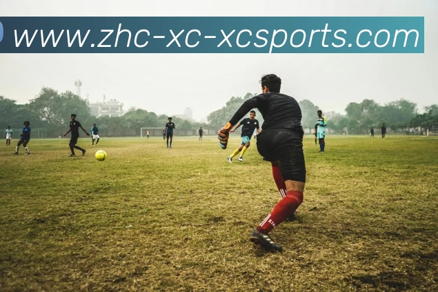 杏彩体育平台生态图