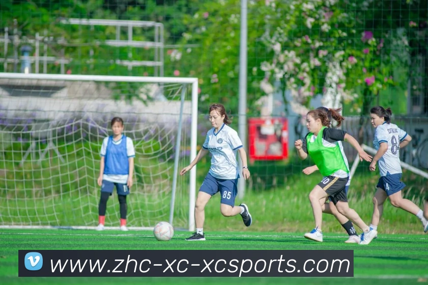 杏彩体育全站App