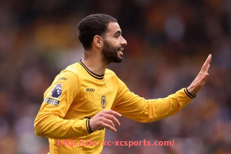 杏彩体育-法甲里昂豪门球队的影响力与赛季表现